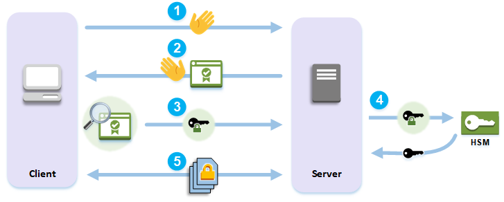 Illustrazione del processo di handshake TLS tra client e server, incluso l'offload crittografico in un modulo HSM.
