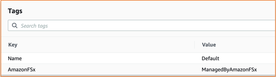 Il pannello Tag nella FSx console Amazon che mostra le chiavi e i valori associati.