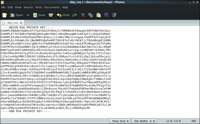 Contenuto di esempio del file dkp_rsa.