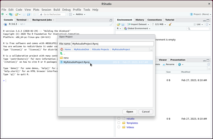 La directory dei file di RStudio progetto.