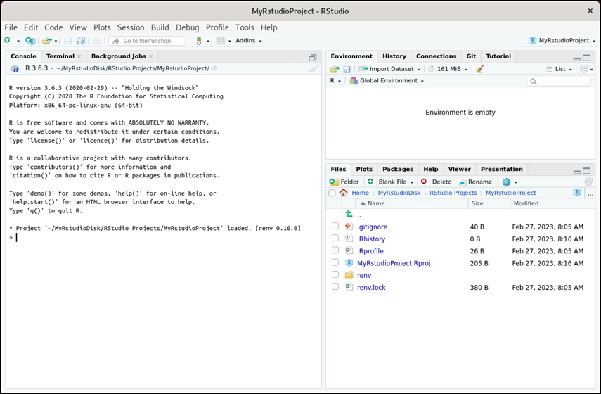 Un RStudio progetto aperto.