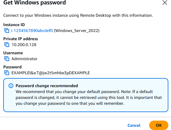 Password di amministratore predefinita di Windows decrittografata nella console Amazon EC2 .