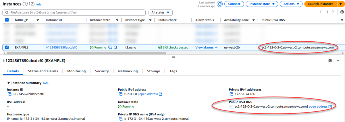 Il DNS pubblico di un'istanza nella EC2 console Amazon.
