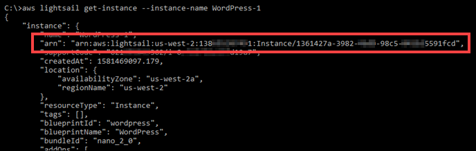 Un ARN di istanza nei risultati. GetInstance