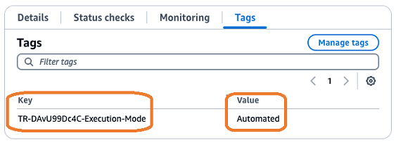 Un esempio della sezione Tags sulla console.