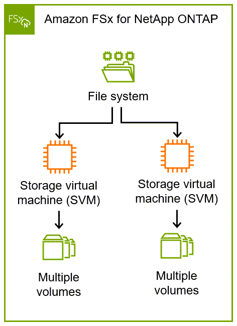 Risorse Amazon FSx for NetApp ONTAP, incluso il file system e SVMs i volumi all' SVMsinterno di.