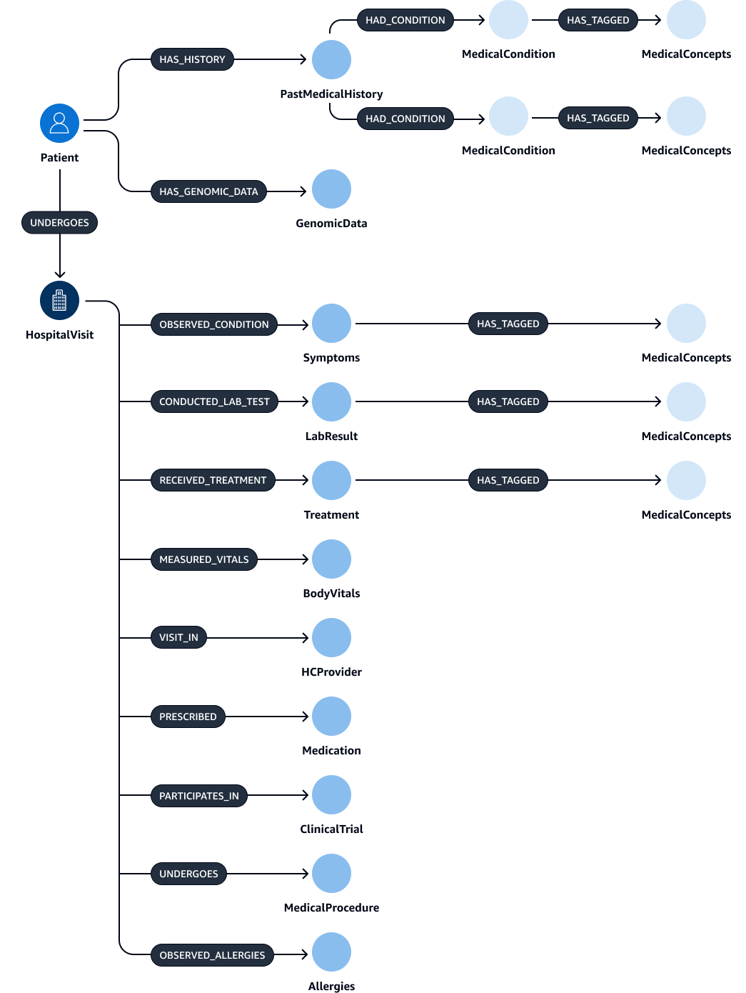 Grafico della conoscenza medica che mappa le entità in base ai loro attributi.