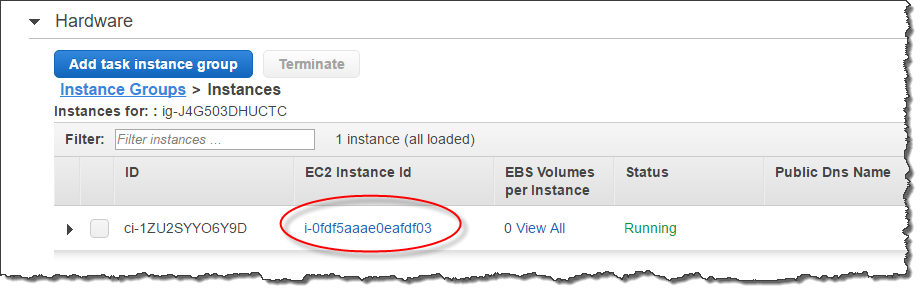 Una schermata che evidenzia il valore di un ID di EC2 istanza Amazon nella console Amazon EMR.