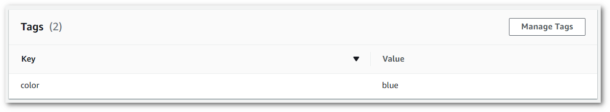 Amazon Transcribe schermata della console: il pannello «tag» nella pagina delle informazioni di un processo di trascrizione.