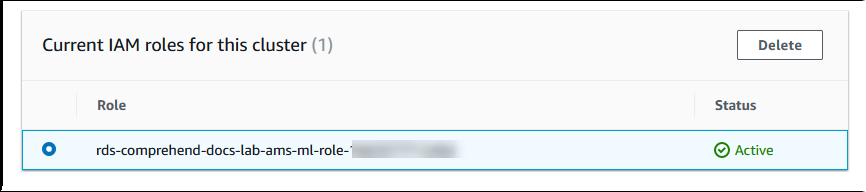 Aurora MySQL で Amazon Comprehend を使用して IAM 統合が完了し、アクティブなロールが表示されるようになりました。