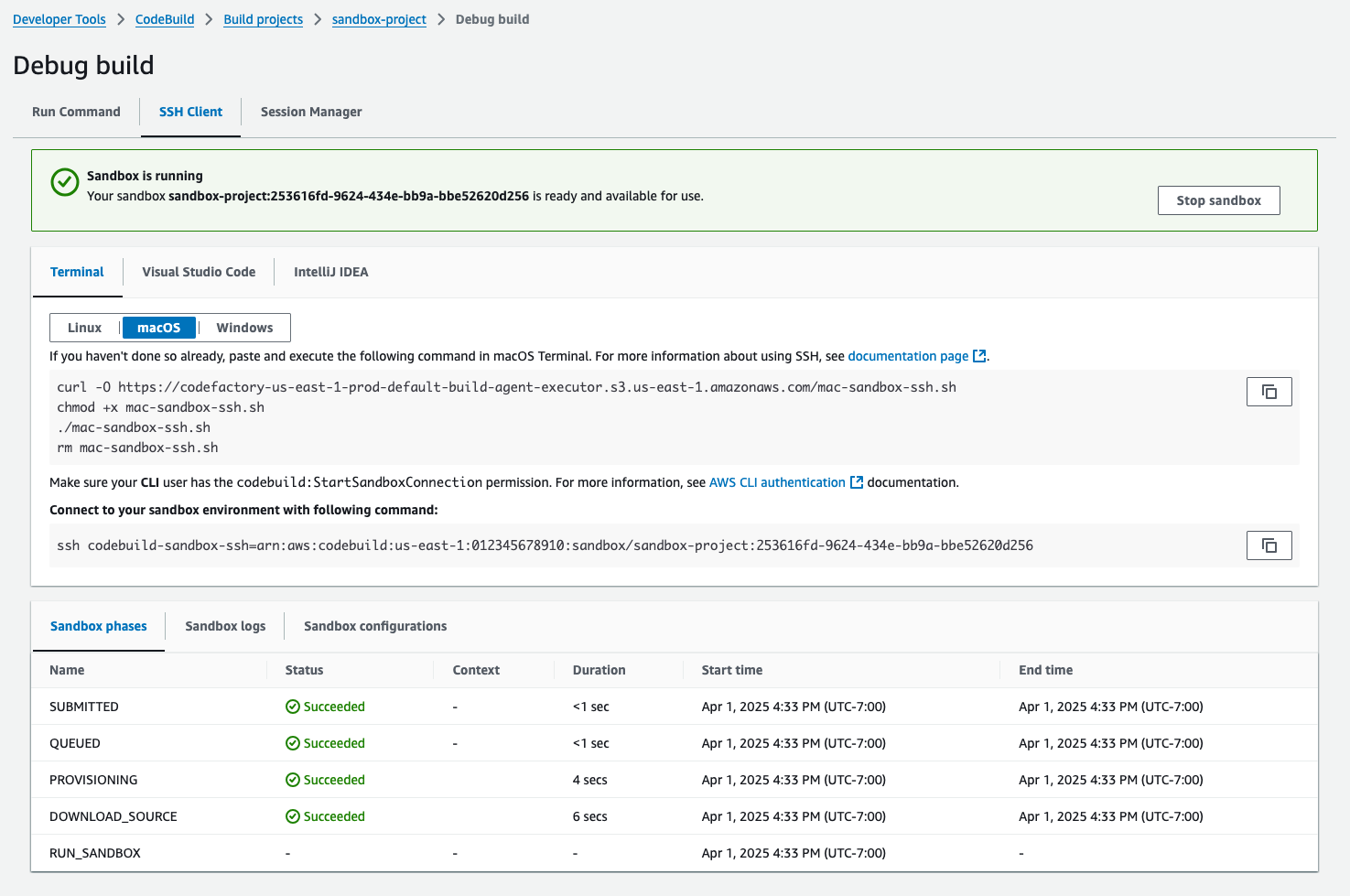 ステータスが「RUN_SANDDBOX」に変わった後の SSH サンドボックス接続。