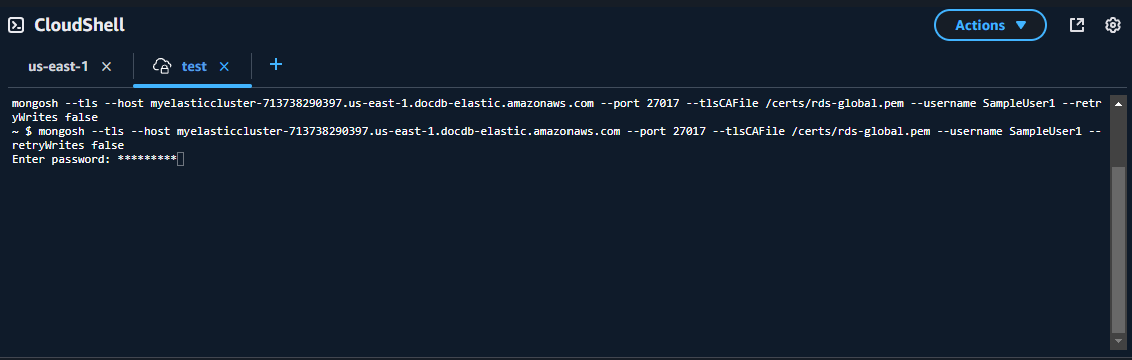 ユーザーパスワードをリクエストするクラスター CloudShell 画面
