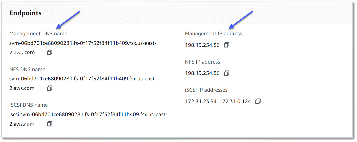 Storage 仮想マシンの詳細ページの Endpoints パネルには、管理 DNS 名と管理 IP アドレスを示す矢印が表示されます。