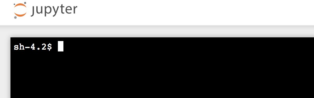 ノートブックをコンテナ化します AWS IoT Analytics。