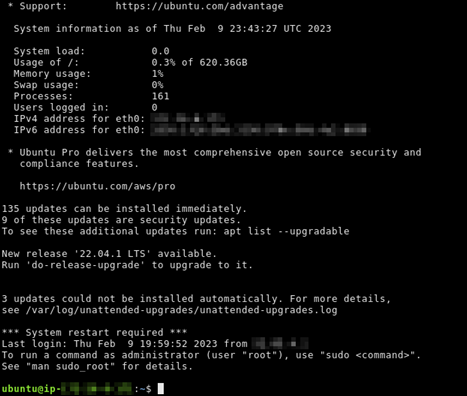 仮想コンピュータと SSH 接続が確立されました。