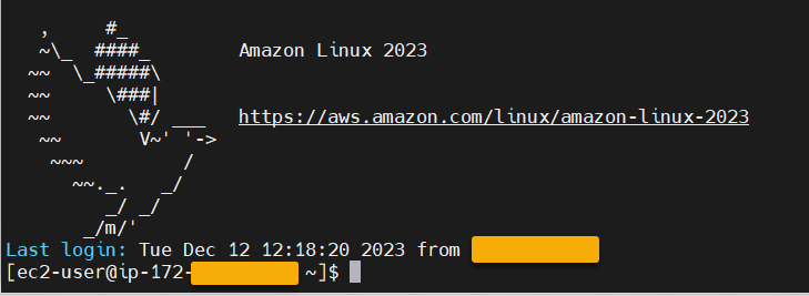 提供された Amazon EC2 インスタンスとユーザー名を含む SSH 画面です。