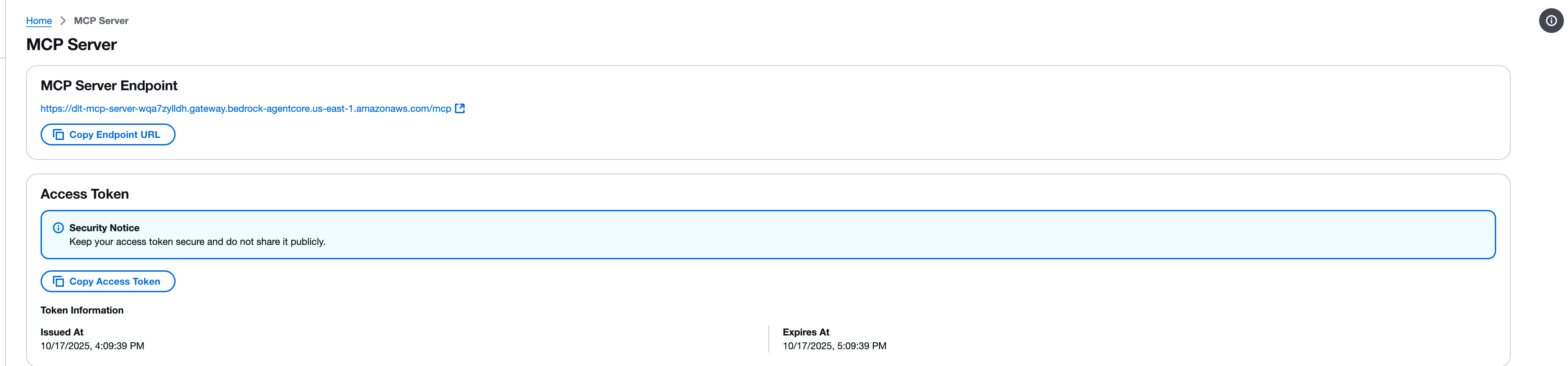 エンドポイントとアクセストークンを示す MCP サーバー認証情報ページ