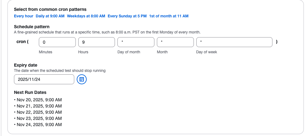 cron パターンセレクタを使用した [スケジュールに従って実行] オプション