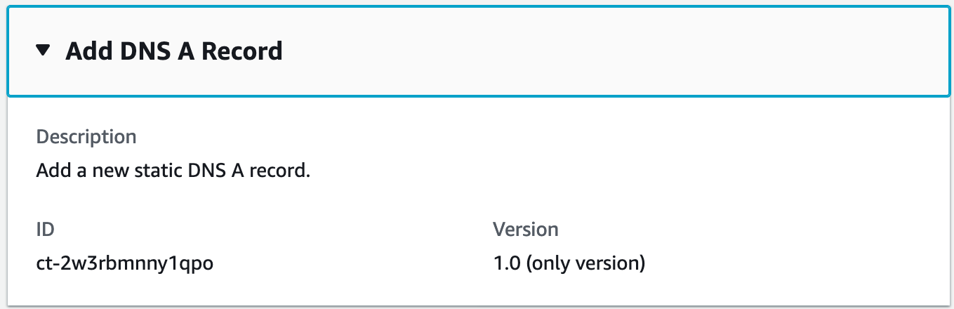 Interface for adding a new static DNS A record, showing description, ID, and version fields.