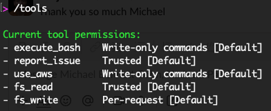 Command-line interface showing current tool permissions with various access levels.