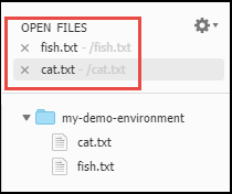 Seção Open Files (Arquivos abertos) na janela Environment (Ambiente)
