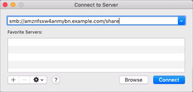 Captura de tela da conexão com o Mac mostrando o DNS e os nomes de compartilhamento do painel do sistema de arquivos.