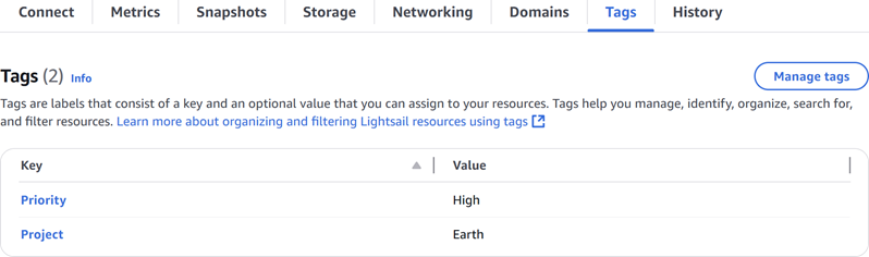 Aba Tags no console do Lightsail.