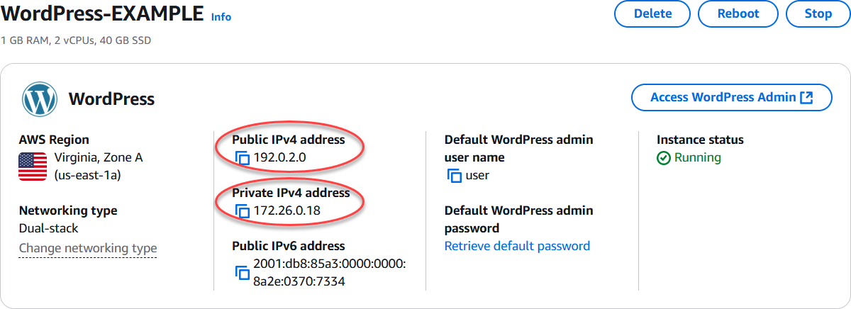 Endereços IP de instância na área de cabeçalho da página de gerenciamento da instância.