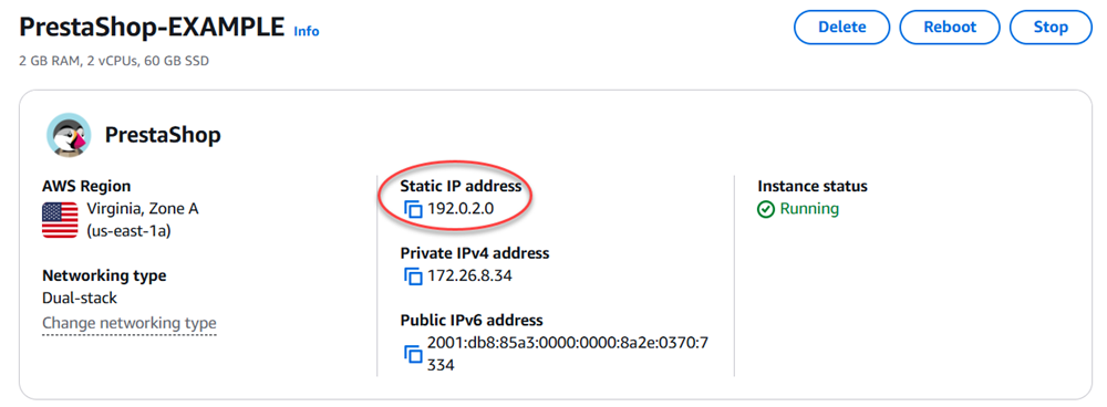 Endereço IP público ou estático de uma instância do Lightsail