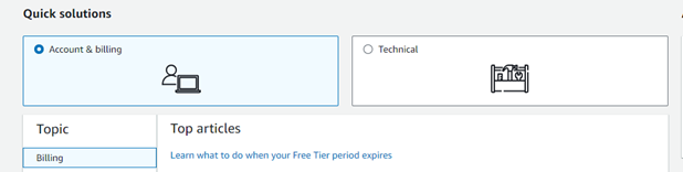 O console do Support mostrando a opção Conta e cobrança.