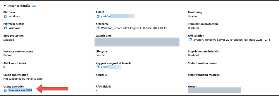 将 RunInstances:0002 用于 BYOM 的 Windows AMI