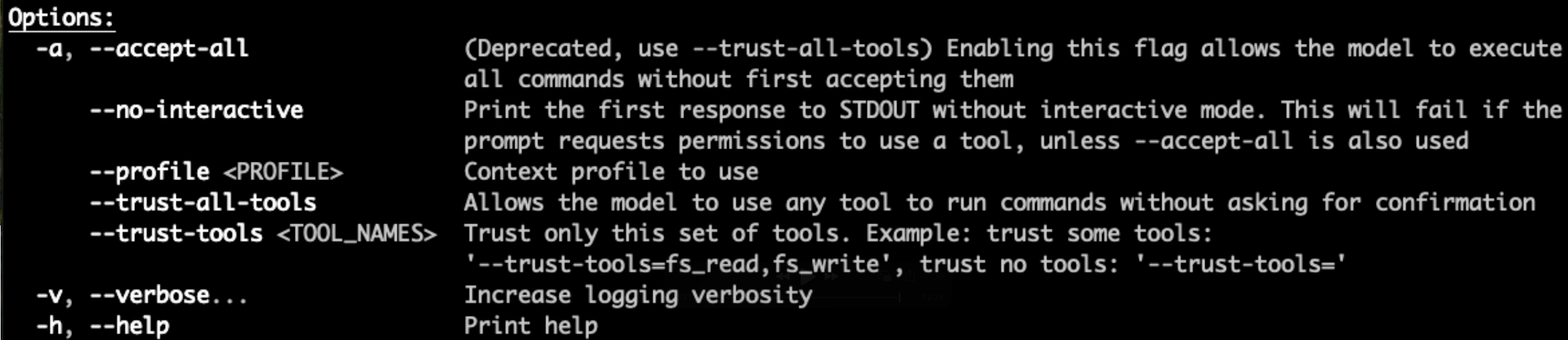 Command-line options for configuring trust and execution settings in a model.