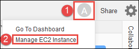 选择通过 AWS Cloud9 IDE 管理实例