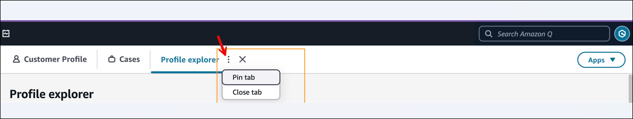 代理工作区，“固定” 选项卡选项。