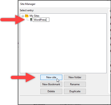 FileZilla 中的新站点配置。