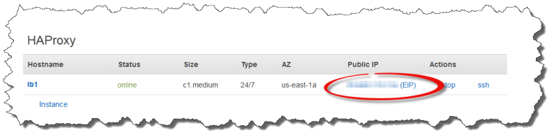 HAProxy instance table showing hostname, status, size, type, AZ, and public IP address.