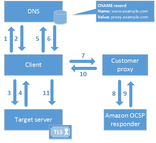 自定义 OCSP 拓扑