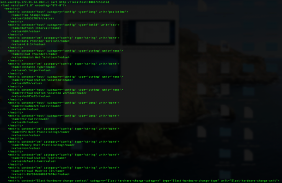 Linux 终端的输出示例