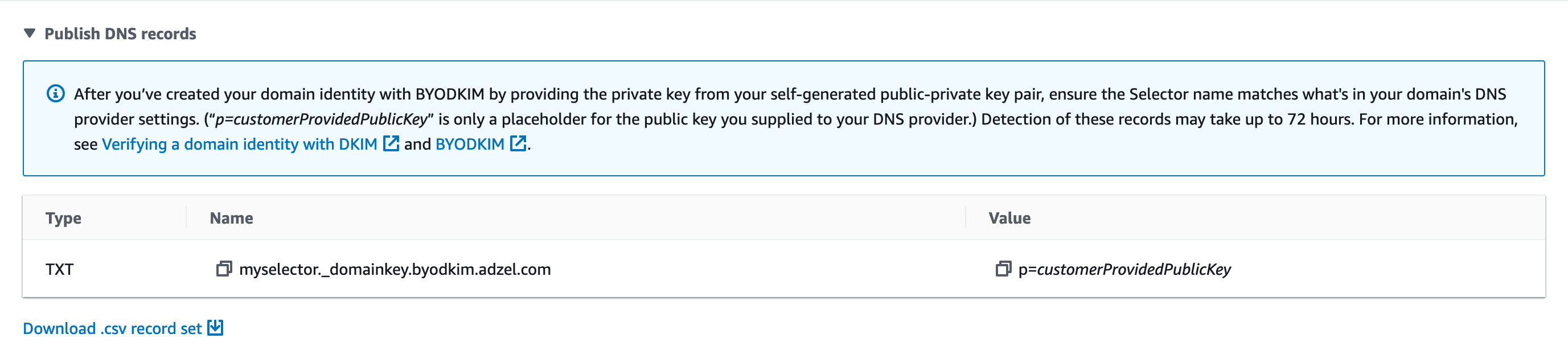 身份的详细信息页的 DKIM 部分。显示了三个虚构的 CNAME 记录。