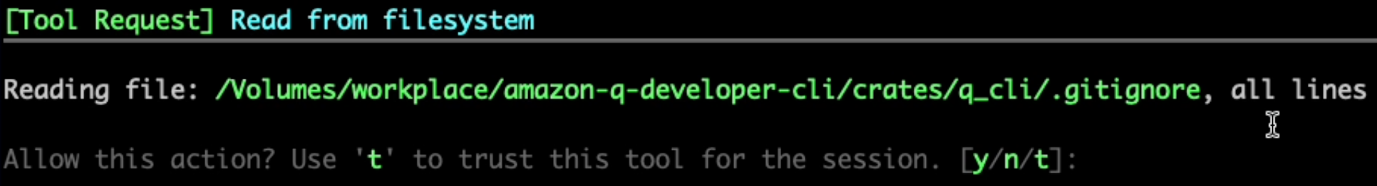 Command prompt showing a file read request and asking for permission to allow the action.