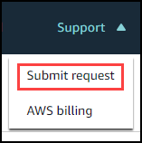 支援選單顯示提交請求和 AWS Billing 命令。