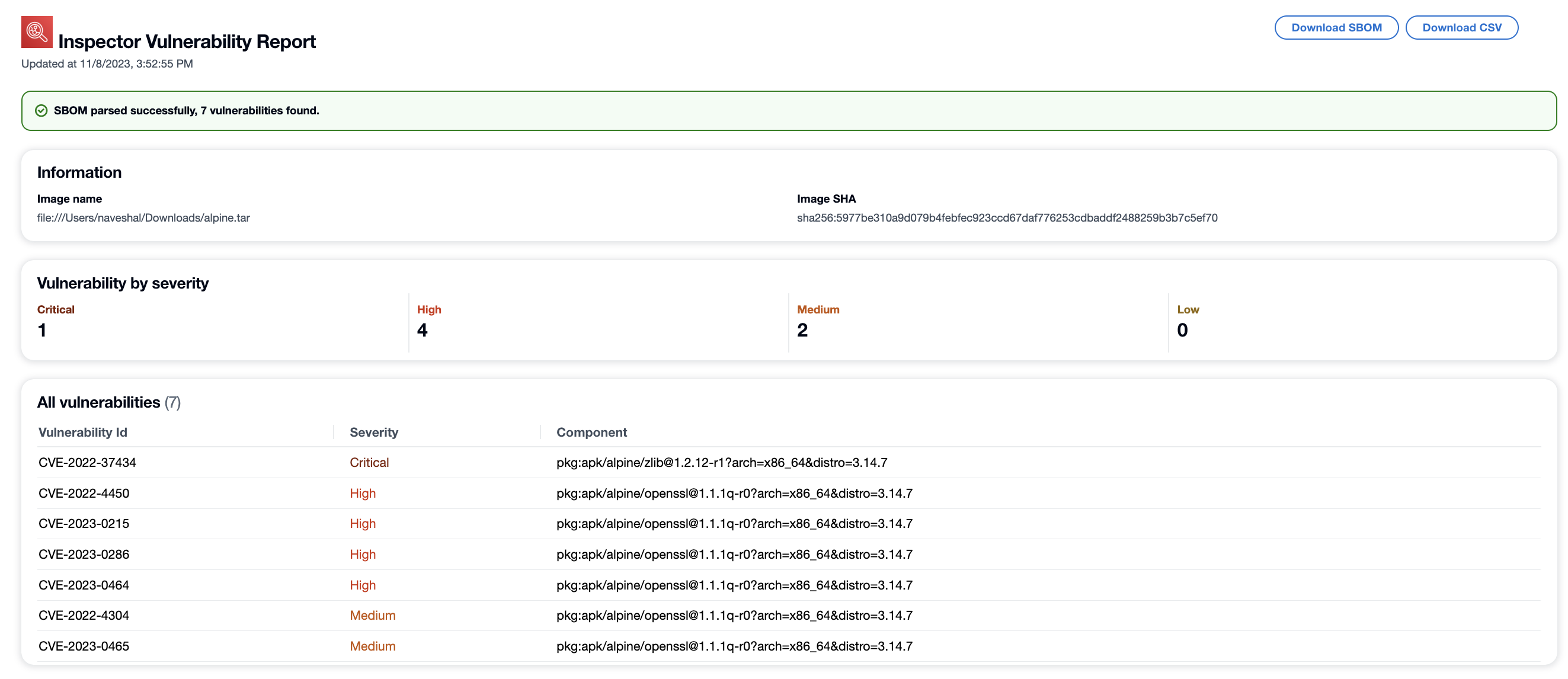 Amazon Inspector 漏洞報告的範例。