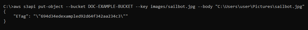 AWS CLI put-object 命令的結果