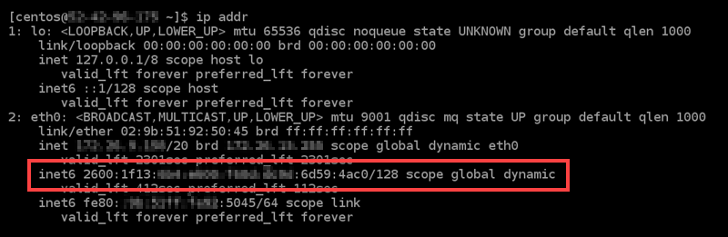 已在執行個體上設定 IPv6。