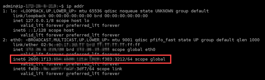 已在執行個體上設定 IPv6。