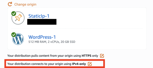 原始 IP 位址類型