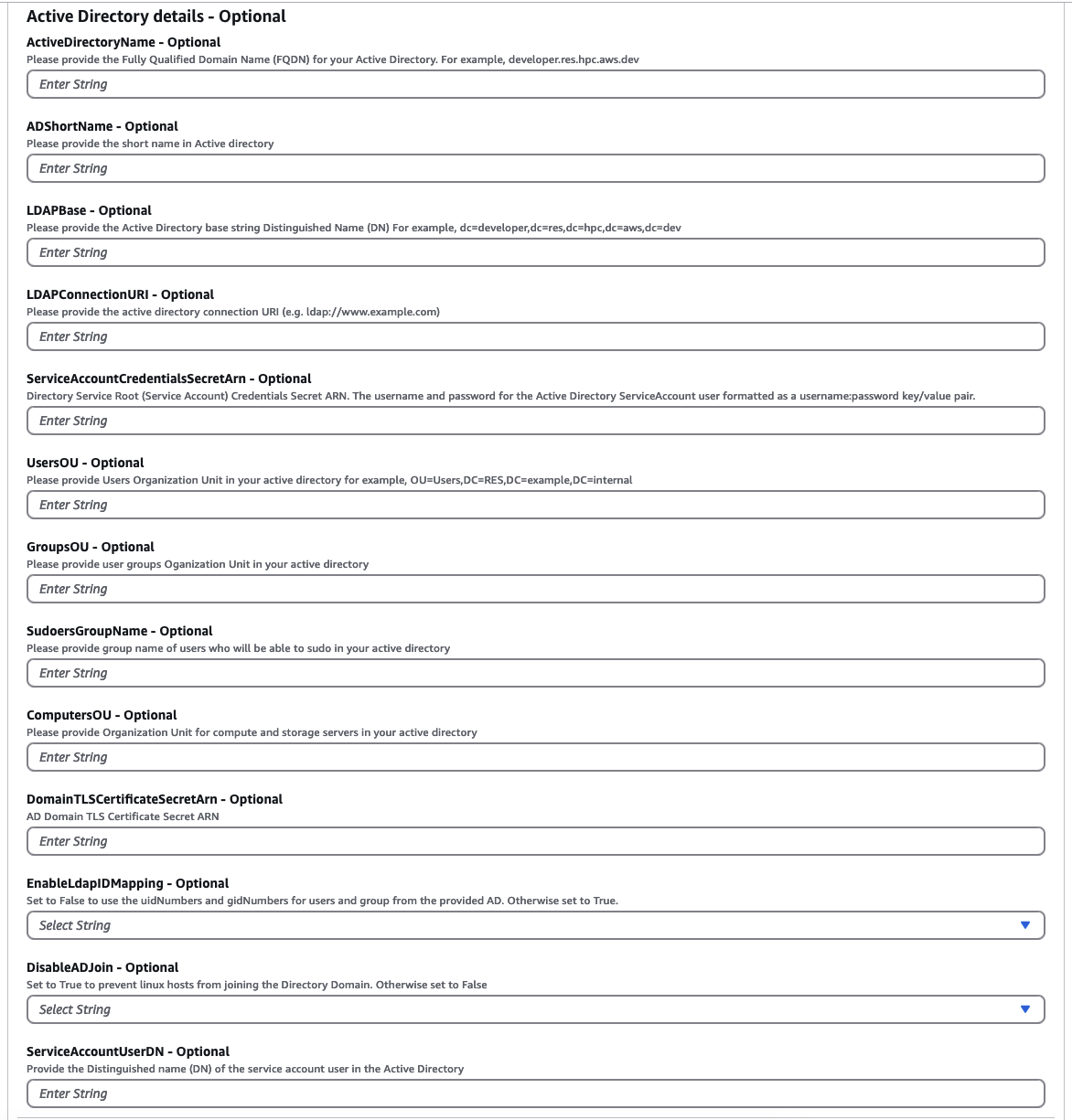 Form for optional Active Directory configuration details with multiple input fields.