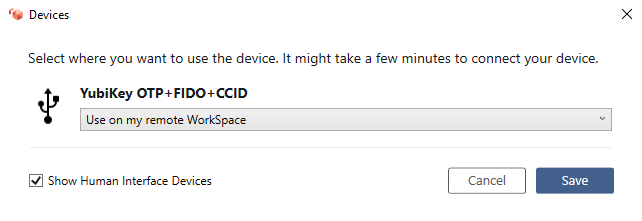 要在遠端 WorkSpace 上使用的選取項目